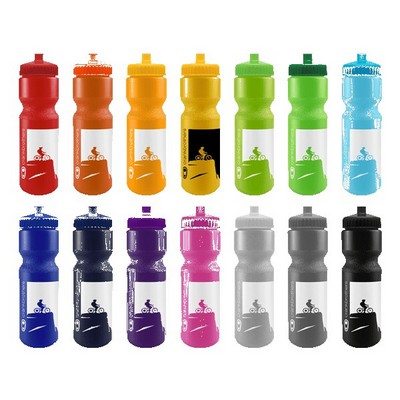 SPOKE-Tacular 28oz Bike Bottle - Colors w/Push-Pull Lid